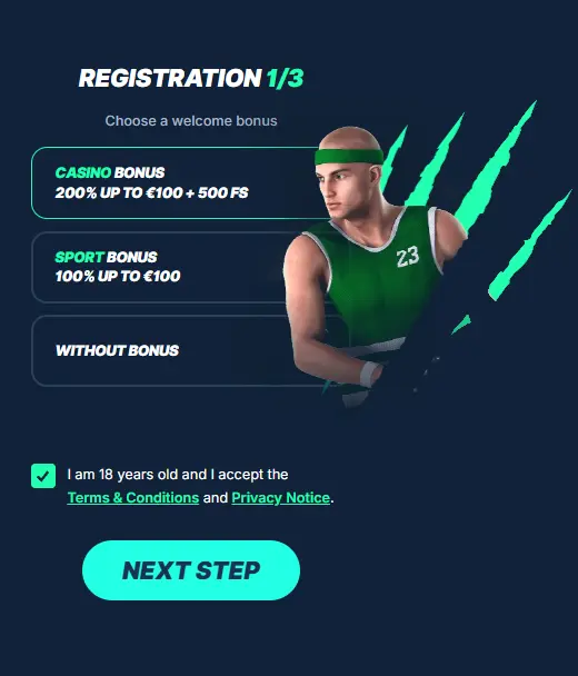 Playzilla Registration Interface